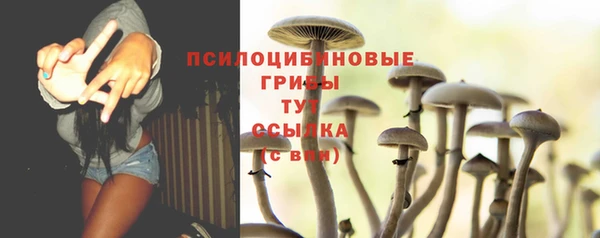 не бодяженный Вяземский