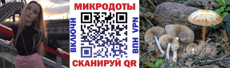 Псилоцибиновые грибы Magic Shrooms  купить наркоту  Королёв 